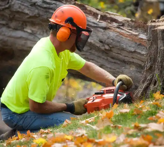 tree services Hardinsburg